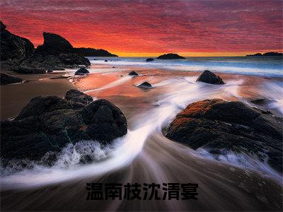 温南枝沈清宴小说(烟火照夜白)小说全集在线下载_章节前文+后续（温南枝沈清宴）