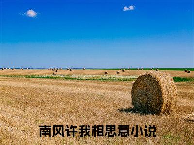 沈庭安乔思染小说完本章节前文+全篇阅读（南风许我相思意）连载中