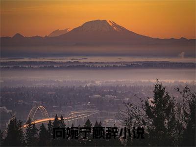 向婉宁顾辞后续(流年落尽空白首)（向婉宁顾辞）整本畅享在线+无广告结局