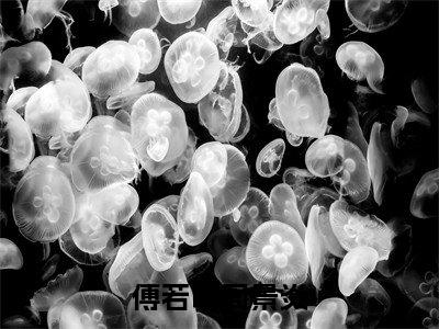 空门不可许深情：+番外+后续在线阅读傅若晗周景炎