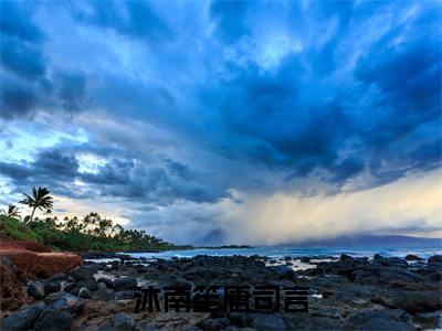 沐南笙唐司言(漫天星辰不及你)章节目录+起始篇章（沐南笙唐司言）：结局+番外评价五颗星