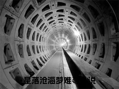 独家星落沧海梦难寻无删减(尹向晴萧宜年)（星落沧海梦难寻）TXT免费版阅读