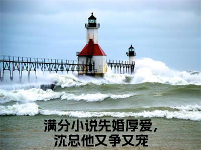 先婚厚爱，沈总他又争又宠小说完本章节前文+全篇阅读（方梨沈霆舟）连载中