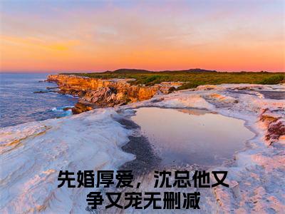 热文推荐先婚厚爱，沈总他又争又宠小说大结局（方梨沈霆舟）书荒必看列表