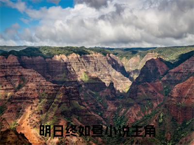 费临阮瓷明日终如昼小说（明日终如昼）前传+全书阅读新作预览