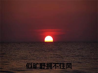 似旷野拥不住风（陆鸣则林祝遥）全文免费阅读_（陆鸣则林祝遥）似旷野拥不住风最新章节小说免费阅读_笔趣阁