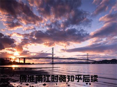 （傅淮南江时薇）+免费下载阅读_（傅淮南江时薇完结版+番外）傅淮南江时薇最新章节列表_笔趣阁（傅淮南江时薇）