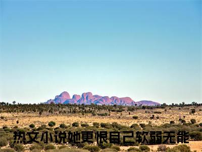 裴之铭慕枝（她更恨自己软弱无能）结局+番外新上热文大结局_裴之铭慕枝（她更恨自己软弱无能）最新章节列表