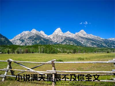 越景锡顾惟：结局+番外（满天星辰不及你）完结版全文免费阅读_越景锡顾惟：结局+番外大结局全章节阅读（满天星辰不及你）