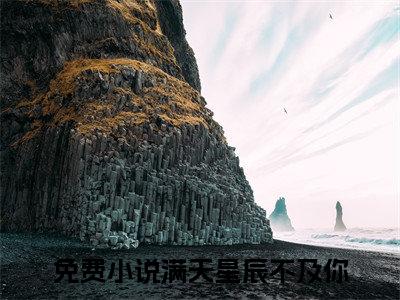 小说越景锡顾惟满天星辰不及你(越景锡顾惟)已更新+无删减（满天星辰不及你）