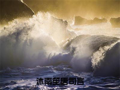 独家漫天星辰不及你小说小说大结局（沐南笙唐司言）全篇在线下载阅读