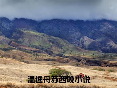 最新章节_笔趣阁（温逸舟苏西晚）温逸舟苏西晚小说(再逢霜华夜至处)在线畅读阅读