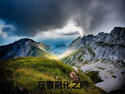 梁冰燕雪舟小说（在雪融化之前）前传+全书阅读新作预览