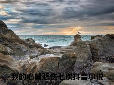 裴景琛沈鹿绫：结局+番外（我的心曾悲伤七次）小说免费更新在线阅读_裴景琛沈鹿绫：结局+番外免费全文阅读笔趣阁（我的心曾悲伤七次）