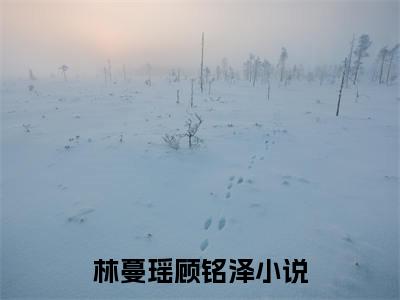 夜雨不知千帆过(林蔓瑶顾铭泽)章节目录+起点章节（夜雨不知千帆过）全篇清爽版在线