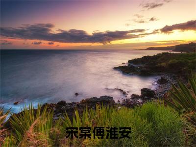 宋棠傅淮安彩蛋+起始篇章（又是堂辞枝雪时）阅读