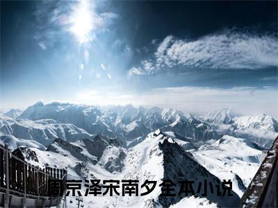 周京泽宋南夕全文（雪落再说爱你小说）全文免费阅读无弹窗大结局_雪落再说爱你免费最新章节列表