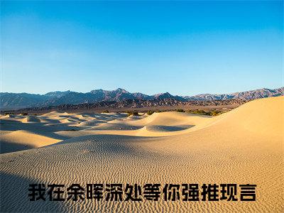 我在余晖深处等你：结局+番外（孟荆州林倾月）电子书畅享阅读无广告