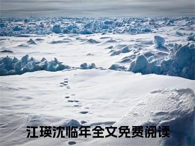 江瑛沈临年是什么小说(江瑛沈临年)（江瑛沈临年）全本完整清爽版在线+无广告结局