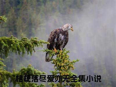 桔梗落尽爱亦无终章（路念瑶傅沉风）完整章节列表_笔趣阁
