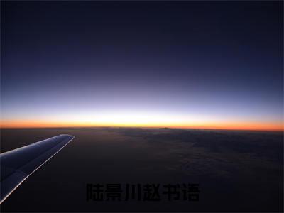 陆景川赵书语：结局+番外免费品鉴_起点章节+后续（过期求婚）