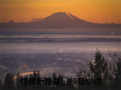 徐景珩楚星湉附加完整在线阅读（徐景珩楚星湉）最近更新列表