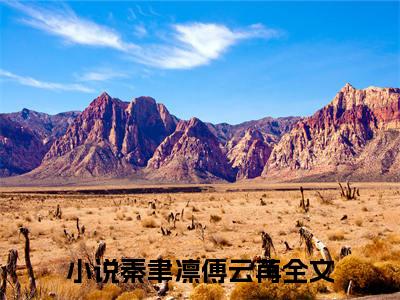 秦聿凛傅云苒(重生七零上校你老公又跑了)（秦聿凛傅云苒）前传+阅读全新作品预订
