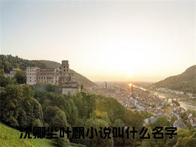 (番外)+(全文)雾色哪堪真心：结局+番外（沈卿尘叶飘）全文免费阅读无弹窗大结局_（雾色哪堪真心：结局+番外免费阅读全文大结局）最新章节列表_笔趣阁（雾色哪堪真心：结局+番外）