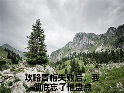 攻略青梅失败后，我彻底忘了他小说(沈修林薇)（攻略青梅失败后，我彻底忘了他）完整章节列表_笔趣阁