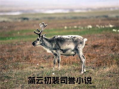 简云初裴司誉：全文+后续(往昔爱意成灰)全文往昔爱意成灰阅读无弹窗结局_往昔爱意成灰+结局最新章节列表_笔趣阁（简云初裴司誉：全文+后续）