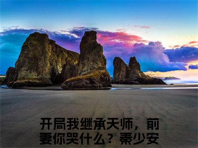 开局我继承天师，前妻你哭什么？秦少安叫什么(开局我继承天师，前妻你哭什么？秦少安)小说全集阅读无广告（开局我继承天师，前妻你哭什么？秦少安）番外+续集