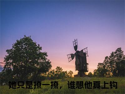 江之夏晏时枭：结局+番外（她只是撩一撩，谁想他真上钩）全文免费阅读无弹窗大结局_江之夏晏时枭：结局+番外（她只是撩一撩，谁想他真上钩）最新章节列表_笔趣阁她只是撩一撩，谁想他真上钩