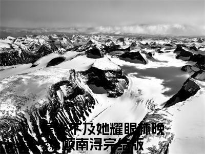 星光不及她耀眼（林晚顾南浔）结局+番外新上热文_（林晚顾南浔）星光不及她耀眼小说全文免费阅读最新章节列表笔趣阁
