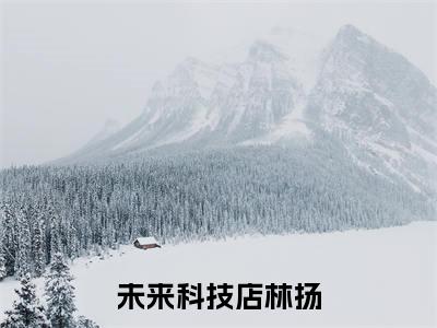 未来科技店林扬附加完整在线阅读（未来科技店林扬）最近更新列表