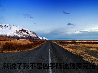 我说了我不是凶手陈述续集(我说了我不是凶手陈述)章节前文+全书阅读（我说了我不是凶手陈述）最新连载