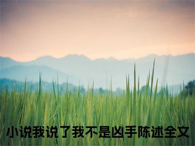 我说了我不是凶手陈述(我说了我不是凶手陈述)（我说了我不是凶手陈述）全书+后续+结局在线阅读