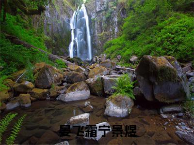 独家晏飞霜宁景煜小说小说大结局（将门嫡女一心和离）全篇在线下载阅读