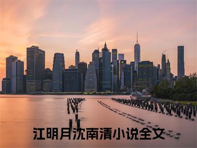 江明月沈南清小说无删减阅读清爽版（总将迟爱当深情）外篇+续集