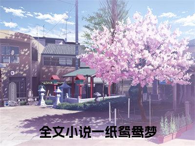 （乔云舒谢延）乔云舒谢延小说(一纸鸳鸯梦)小说全集速览无广告高口碑小说