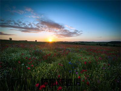 新章速递陈星陈述厉小说小说结尾阅读无广告（陈星陈述厉）