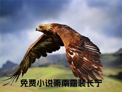 （秦南霜裴长宁）爱在灰烬中燃烧秦南霜裴长宁延伸在线下载无广告章节清单