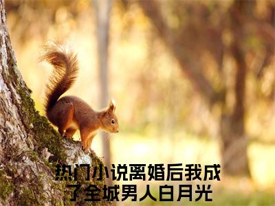 黎心蔓江聿琛 小说小说全集+延伸+完本（离婚后我成了全城男人白月光）畅享在线阅读
