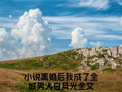 离婚后我成了全城男人白月光（黎心蔓江聿琛）全文免费阅读无弹窗_（黎心蔓江聿琛小说全文免费阅读）离婚后我成了全城男人白月光+后续评价五颗星