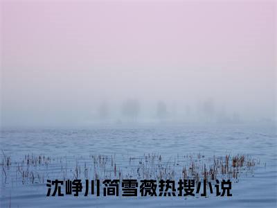 独家余生长夜无归客无删减(沈峥川简雪薇)（余生长夜无归客）TXT免费版阅读