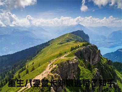 重生八零营长新娘逃婚了续集(何婉吟靳慎之)全本完整免费版_起点章节+后续（重生八零营长新娘逃婚了）