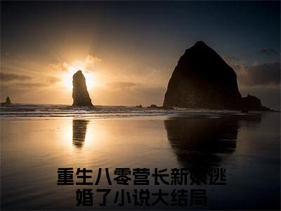 终章小说何婉吟靳慎之完结篇(重生八零营长新娘逃婚了)已更新+延伸（何婉吟靳慎之）清爽版