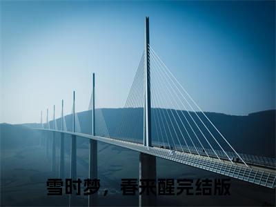 雪时梦，春来醒后续(苏灵韵薛裴)（雪时梦，春来醒）整本畅享在线+无广告结局