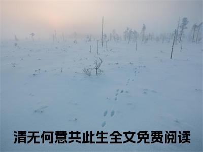 (番外)+(结局)南清禾徐舟野：结局+番外_(南清禾徐舟野：结局+番外)最新章节列表_笔趣阁(清无何意共此生)