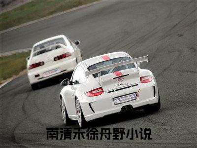 电子书+番外篇章+（南清禾徐舟野）免费版在线阅读