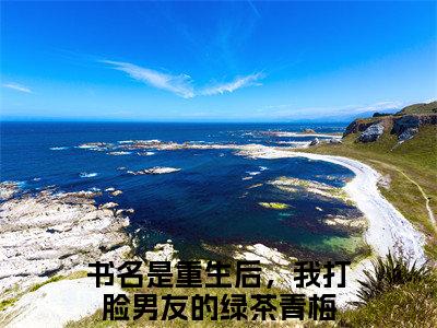 陆真真青梅小说全篇完整在线阅读（重生后，我打脸男友的绿茶青梅）热门章节列表